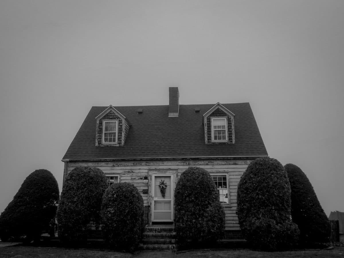 Multi-Family in Dorchester