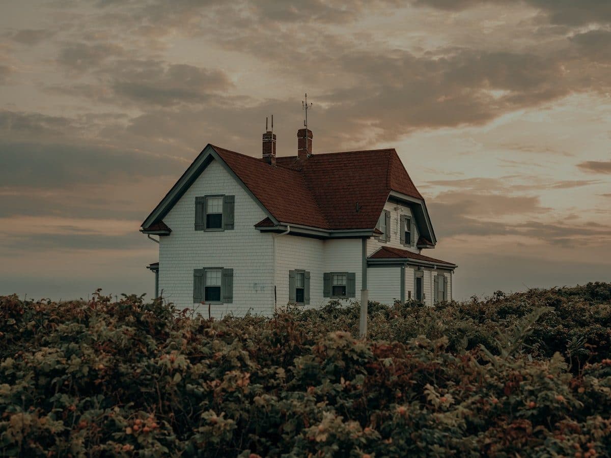 Multi-Family in Dorchester